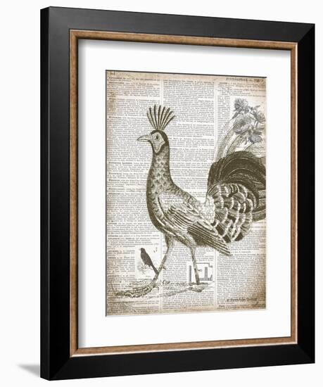 Vintage Bird II-Gwendolyn Babbitt-Framed Art Print