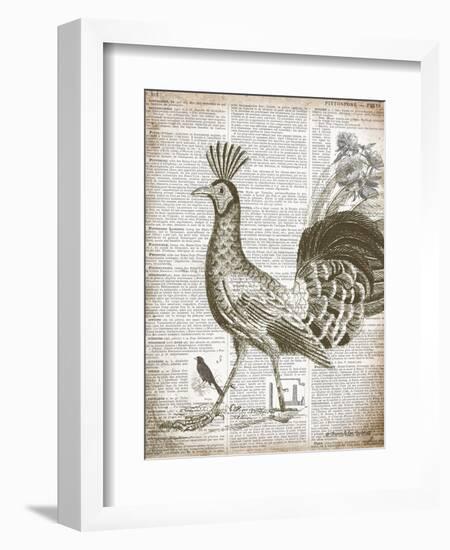 Vintage Bird II-Gwendolyn Babbitt-Framed Art Print