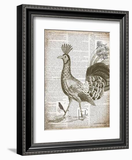 Vintage Bird II-Gwendolyn Babbitt-Framed Art Print