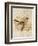 Vintage Bird II-null-Framed Art Print