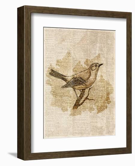 Vintage Bird II-null-Framed Art Print