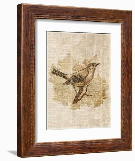 Vintage Bird II-null-Framed Art Print