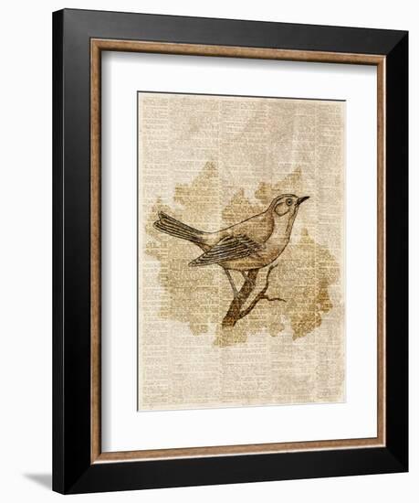 Vintage Bird II-null-Framed Art Print