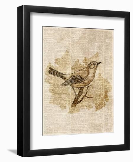 Vintage Bird II-null-Framed Art Print