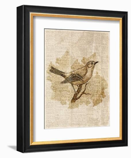 Vintage Bird II-null-Framed Art Print