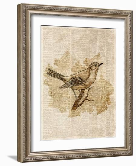 Vintage Bird II-null-Framed Art Print