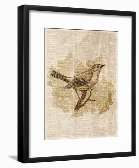 Vintage Bird II-null-Framed Art Print