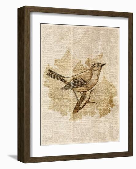 Vintage Bird II-null-Framed Art Print