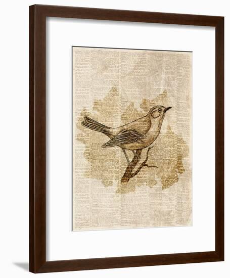 Vintage Bird II-null-Framed Art Print