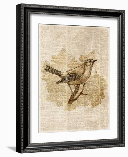 Vintage Bird II-null-Framed Art Print