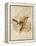 Vintage Bird II-null-Framed Stretched Canvas
