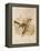 Vintage Bird II-null-Framed Stretched Canvas