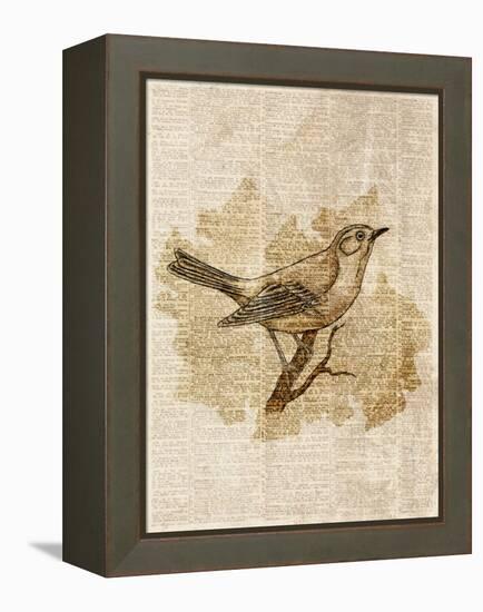 Vintage Bird II-null-Framed Stretched Canvas