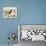 Vintage Bird - Marseilles-Stephanie Monahan-Giclee Print displayed on a wall