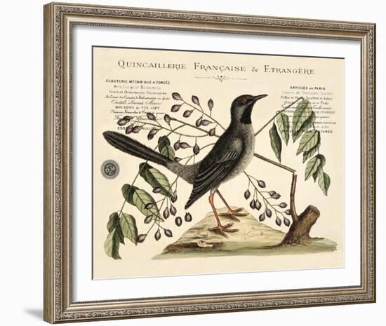 Vintage Bird - Marseilles-Stephanie Monahan-Framed Giclee Print