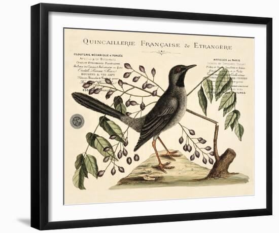 Vintage Bird - Marseilles-Stephanie Monahan-Framed Giclee Print