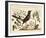 Vintage Bird - Marseilles-Stephanie Monahan-Framed Giclee Print