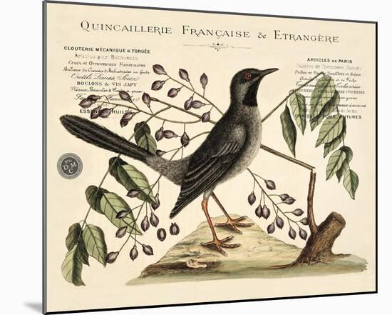 Vintage Bird - Marseilles-Stephanie Monahan-Mounted Giclee Print