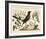 Vintage Bird - Marseilles-Stephanie Monahan-Framed Giclee Print