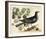 Vintage Bird - Paris-Stephanie Monahan-Framed Giclee Print