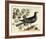 Vintage Bird - Paris-Stephanie Monahan-Framed Giclee Print