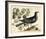 Vintage Bird - Paris-Stephanie Monahan-Framed Giclee Print