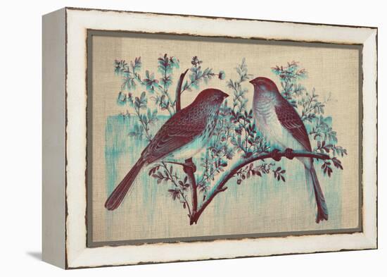 Vintage Birds (Blue)-null-Framed Stretched Canvas