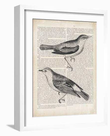 Vintage Birds on Newsprint-Wild Apple Portfolio-Framed Art Print