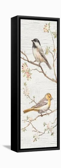 Vintage Birds Panel II-Danhui Nai-Framed Stretched Canvas