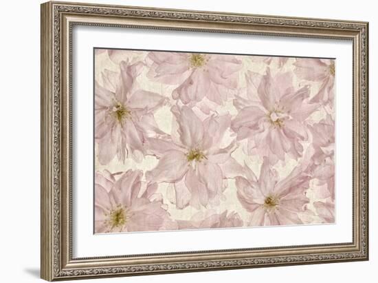 Vintage Blossom-Cora Niele-Framed Photographic Print