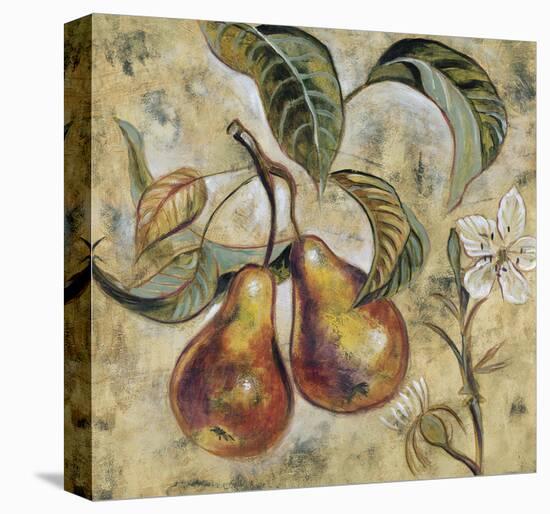 Vintage Blossoms I-Giovanni-Framed Stretched Canvas