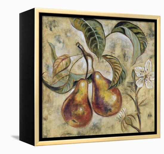 Vintage Blossoms I-Giovanni-Framed Stretched Canvas