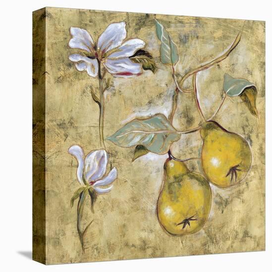 Vintage Blossoms II-Giovanni-Framed Stretched Canvas