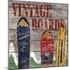 Vintage boards I-Karen Williams-Mounted Giclee Print