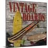 Vintage Boards II-Karen Williams-Mounted Giclee Print