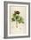 Vintage Botanical 186-Tina Carlson-Framed Art Print