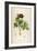 Vintage Botanical 186-Tina Carlson-Framed Art Print