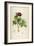 Vintage Botanical 186-Tina Carlson-Framed Art Print