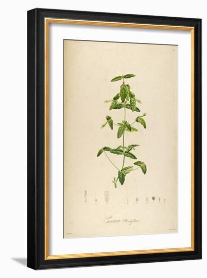 Vintage Botanical 192-Tina Carlson-Framed Art Print