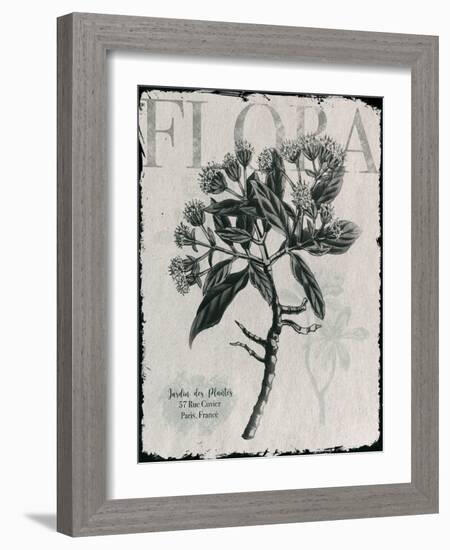 Vintage Botanical 1-Melody Hogan-Framed Art Print