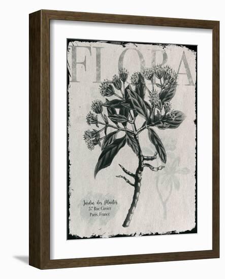 Vintage Botanical 1-Melody Hogan-Framed Art Print