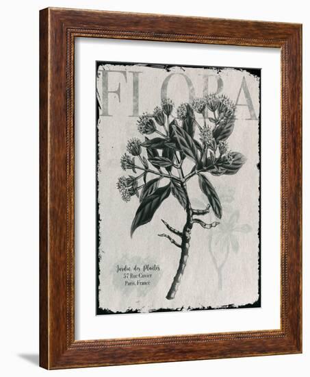 Vintage Botanical 1-Melody Hogan-Framed Art Print