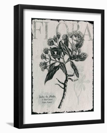 Vintage Botanical 1-Melody Hogan-Framed Art Print