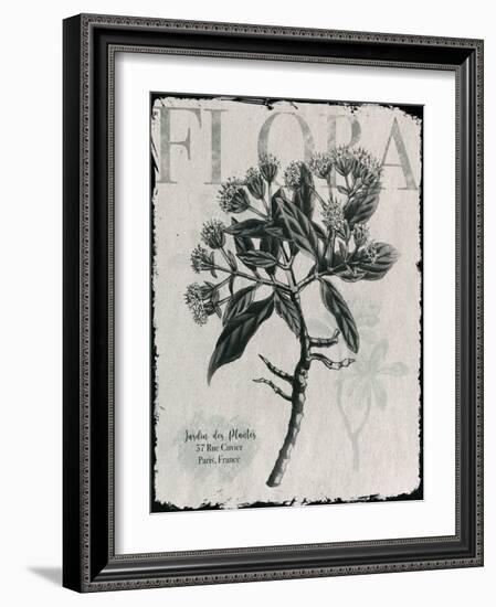 Vintage Botanical 1-Melody Hogan-Framed Art Print