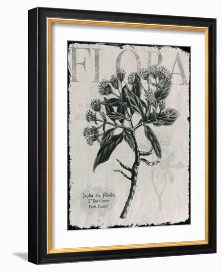 Vintage Botanical 1-Melody Hogan-Framed Art Print