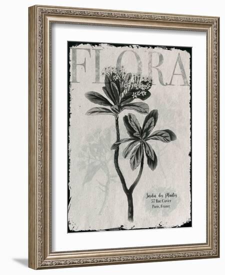 Vintage Botanical 2-Melody Hogan-Framed Art Print