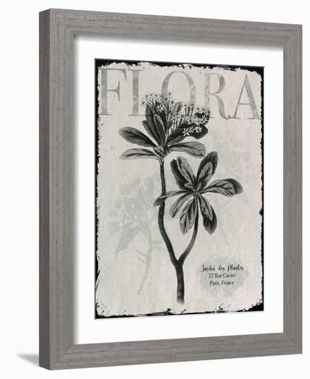 Vintage Botanical 2-Melody Hogan-Framed Art Print