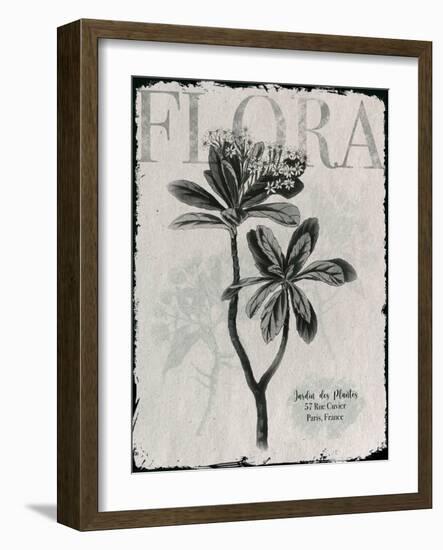 Vintage Botanical 2-Melody Hogan-Framed Art Print