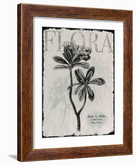 Vintage Botanical 2-Melody Hogan-Framed Art Print