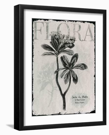 Vintage Botanical 2-Melody Hogan-Framed Art Print